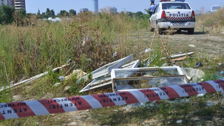 Un copil a murit muscat de caini langa Parcul Tei. ISU Bucuresti: A fost gasit intr-o rapa, intr-o zona greu accesibila Imagine