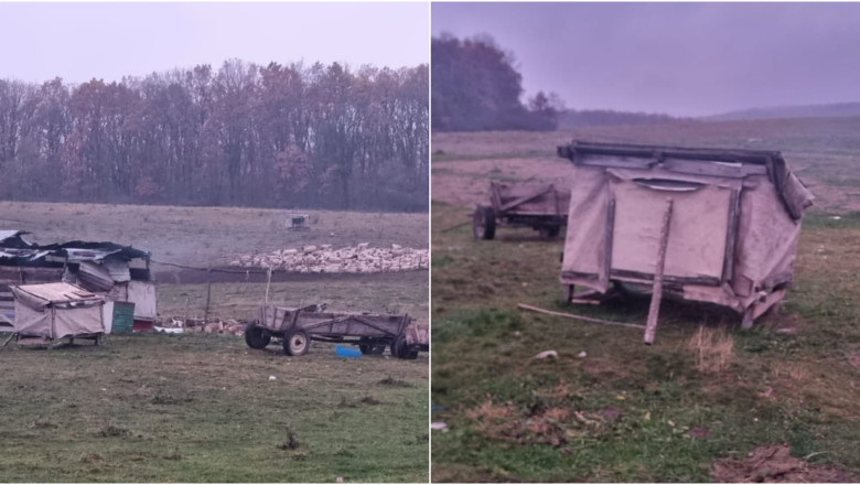 Un copil de 13 ani ar fi fost vandut de parinti unor ciobani din Brasov. Perchezitii la stana Imagine