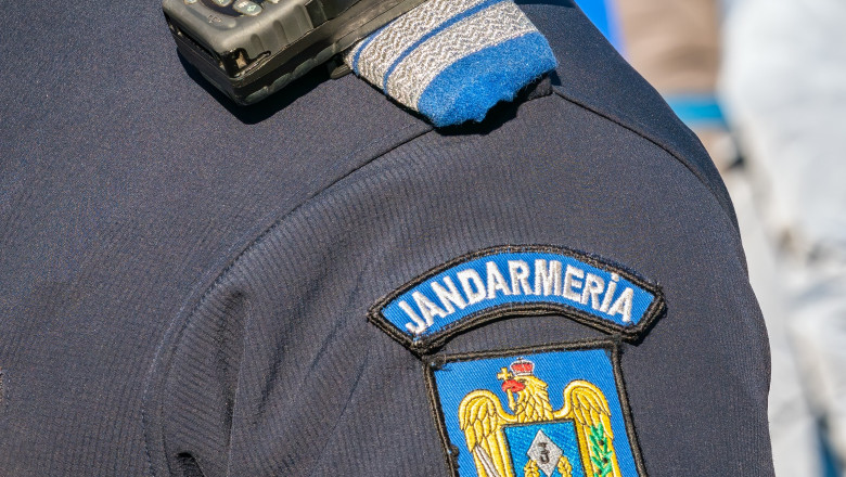 Un copil de zece ani a plecat de doua ori de acasa ca sa stranga peturi pentru a face rost de bani. Ce vrea sa-si cumpere Imagine