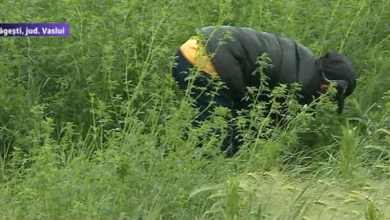 Un cunoscut om de afaceri din Vaslui este suspectat ca a omorat un cioban Imagine