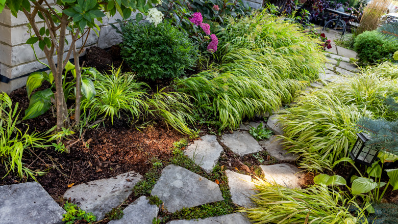 Un cuplu britanic a tinut in curte timp de zeci de ani o bomba ca ornament: „E ca si cum m-as desparti de un vechi prieten” Imagine