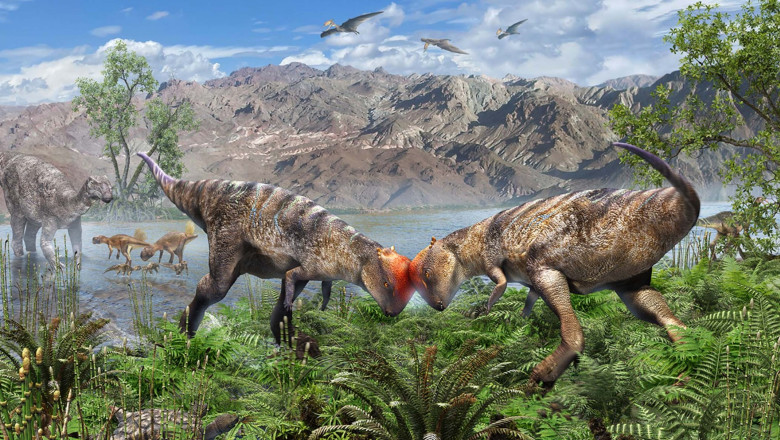 Un dinozaur vechi de peste 108 milioane de ani, descoperit in Mongolia. „Este conservat intr-un mod exceptional” Imagine