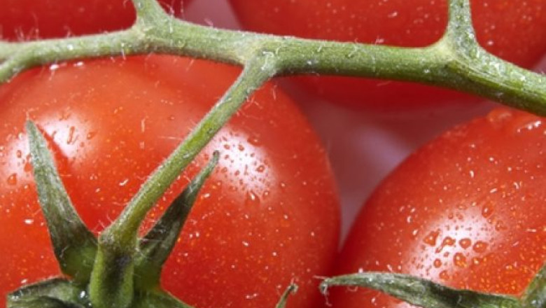 Un doljean cultiva rosii pentru diabetici Imagine