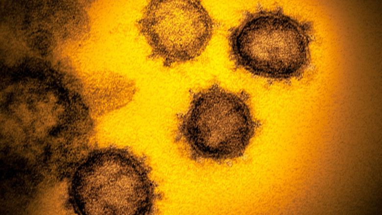 Un expert german sustine ca pandemia de COVID-19 s-a incheiat. Acum este doar o boala endemica iar oamenii au imunitate Imagine
