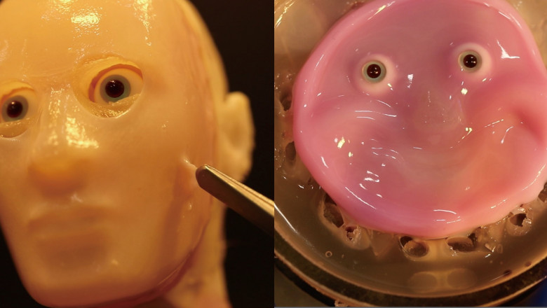 Un grup de cercetatori a dezvaluit proiectul unui robot acoperit cu piele umana realizata in laborator. Reactii online: „Nu vrem asta” Imagine