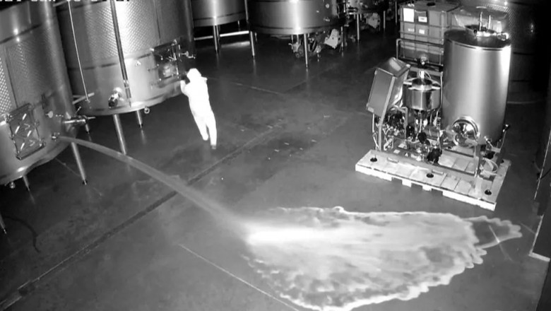 Un intrus a varsat intentionat 60.000 de litri de vin in valoare de 2,5 milioane de euro la o crama din Spania Imagine