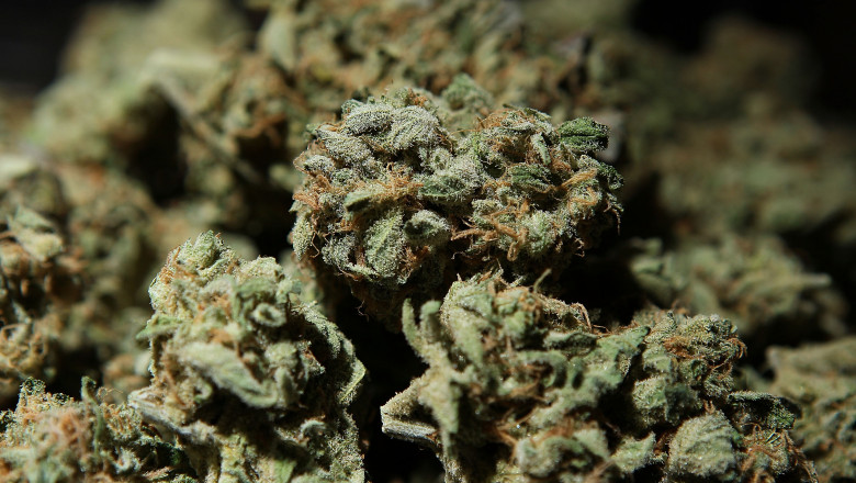 Un medic ortoped a fost prins in flagrant cand cumpara 20 kilograme de cannabis Imagine