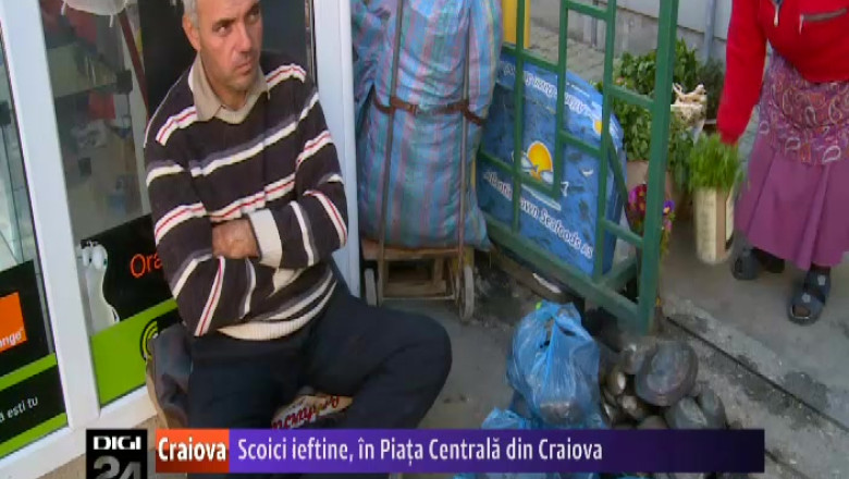 Un negustor din Mehedinti face zilnic naveta la Craiova, pentru a vinde scoici din Dunare Imagine