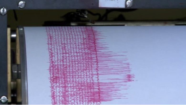 Un nou cutremur in Vrancea Imagine