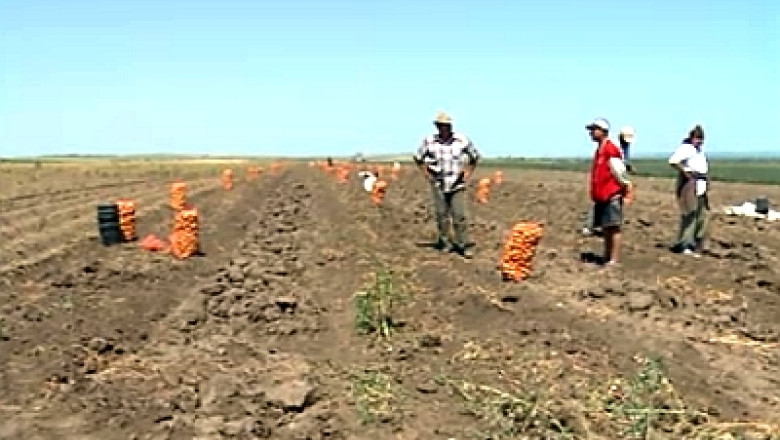 Un nou raport al Comisiei prezidentiale pentru politici publice de dezvoltare a agriculturii se lanseaza luni Imagine