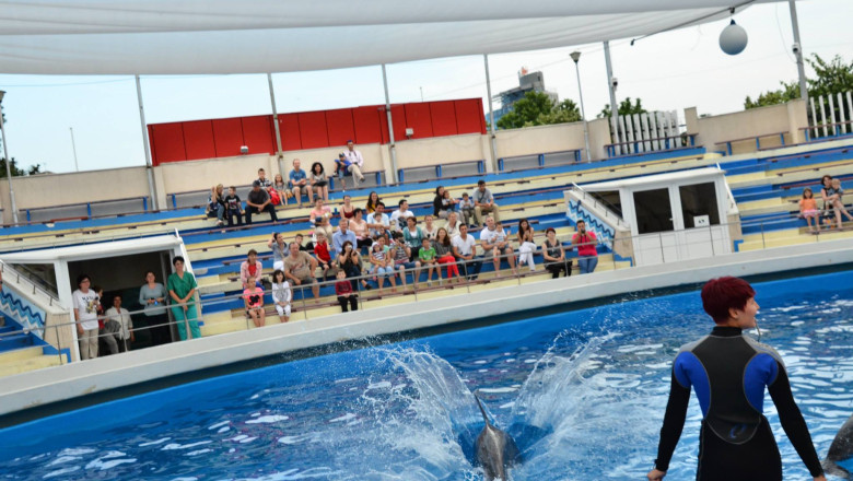 Un nou sistem de filtrare a apei, pentru Delfinariul din Constanta Imagine