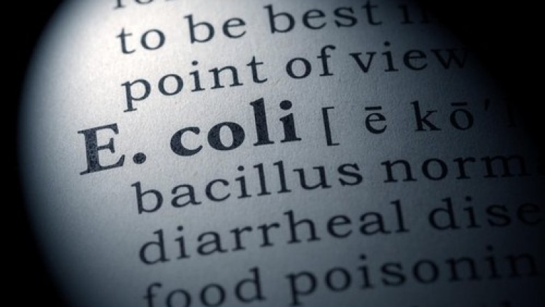 Un om a murit in Marea Britanie din cauza E.coli. Mai multe produse au fost retrase de la vanzare Imagine