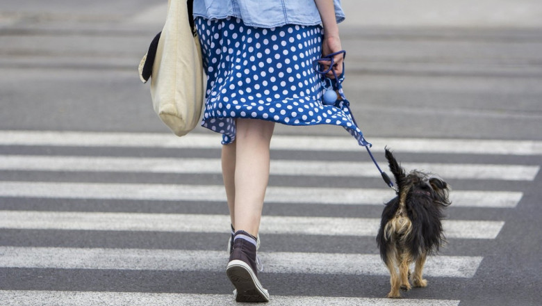 Un oras din Franta vrea sa foloseasca teste ADN pentru a-i prinde pe oamenii care nu curata dupa cainii lor Imagine