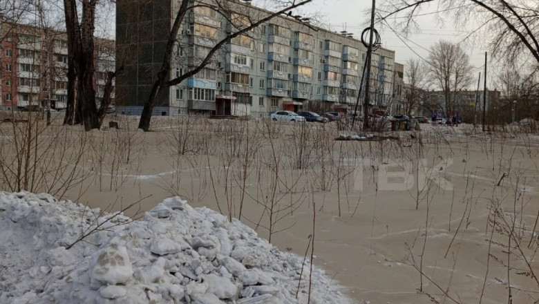 Un oras din Siberia a fost acoperit de zapada gri Imagine