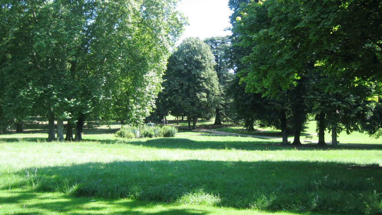 Un parc si 10 terenuri de sport vor fi amenajate intr-un cartier din Oradea Imagine