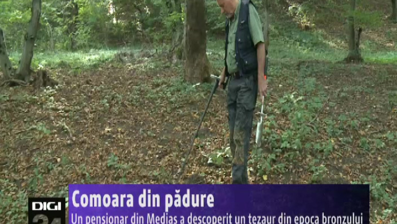 Un pensionar din Medias a descoperit un tezaur din epoca bronzului Imagine