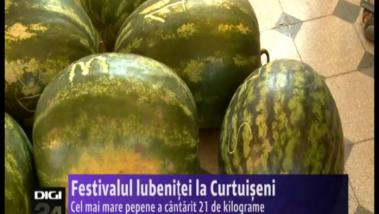 Un pepene de 21 de kilograme a castigat Festivalul Lubenitei de la Curtuiseni Imagine