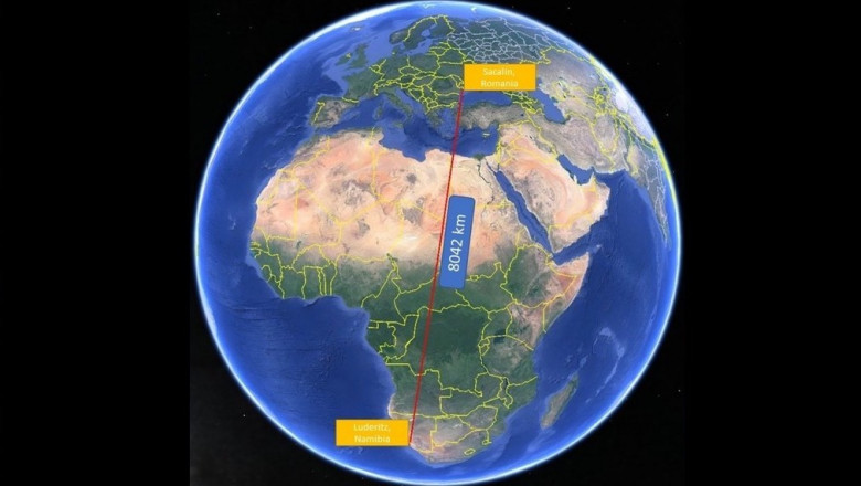 Un pietrus a zburat peste 8.000 de kilometri, din Delta Dunarii pana in sudul Africii Imagine