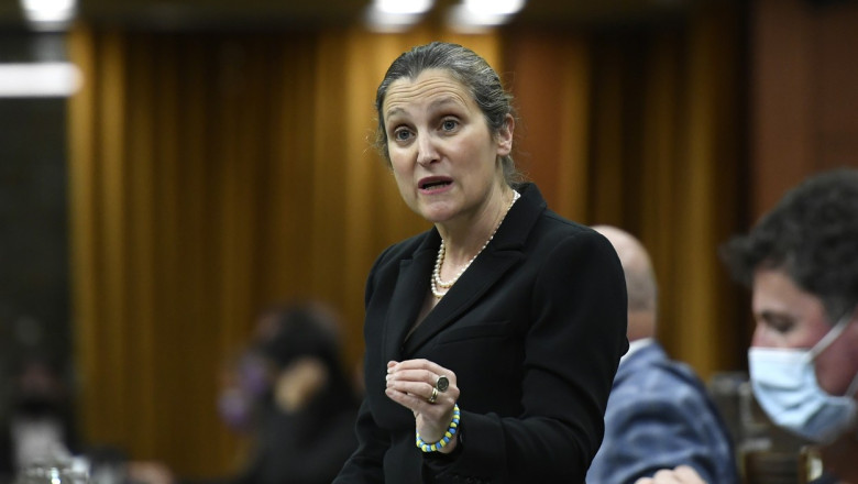 „Un piroman la o intalnire a pompierilor”. Canada critica invitarea Rusiei la reuniunea G20 din Indonezia Imagine