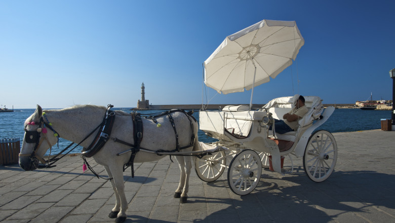 Un pui de somn la pranz si un lighean cu apa rece sub birou - medicii germani recomanda nemtilor metode mediteraneene in lunile de vara Imagine