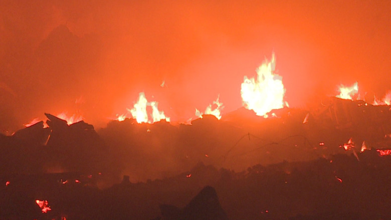 Un saivan din Galesu a ars timp de 6 ore. Vantul si flacarile au pus in pericol alte 5 adaposturi pentru animale Imagine