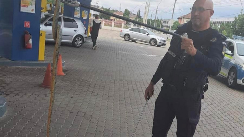 Un sarpe de aproape doi metri a fost prins de jandarmi intr-o benzinarie. S-a incolacit pe pompa de alimentare Imagine