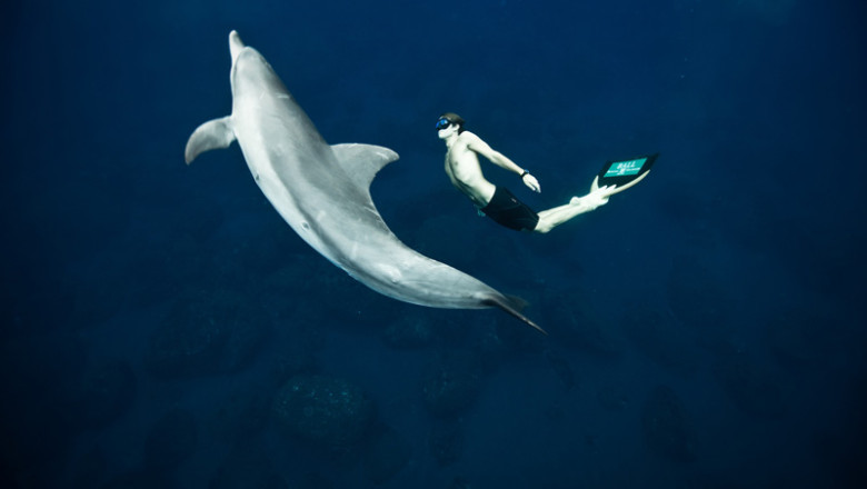 Un scufundator francez coboara la 87 de metri adancime fara oxigen Imagine