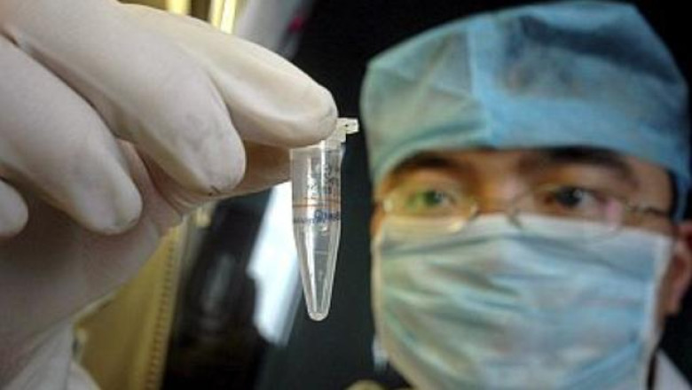 Un tanar a murit de ciuma in Kargazstan. Autoritatile spun ca nu exista pericolul unei epidemii Imagine