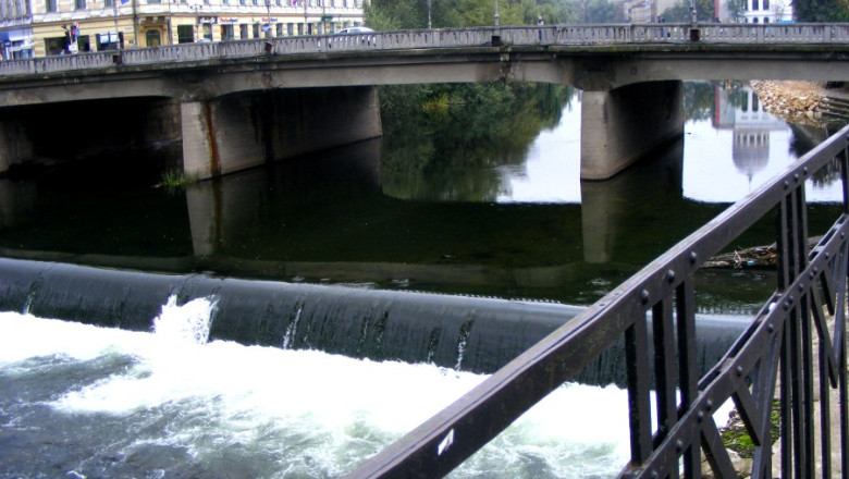 Un tanar s-a aruncat in Crisul Repede, de pe podul din centrul Oradei Imagine