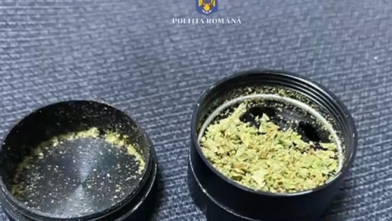 Un tanar vindea droguri in satul Drogu Imagine