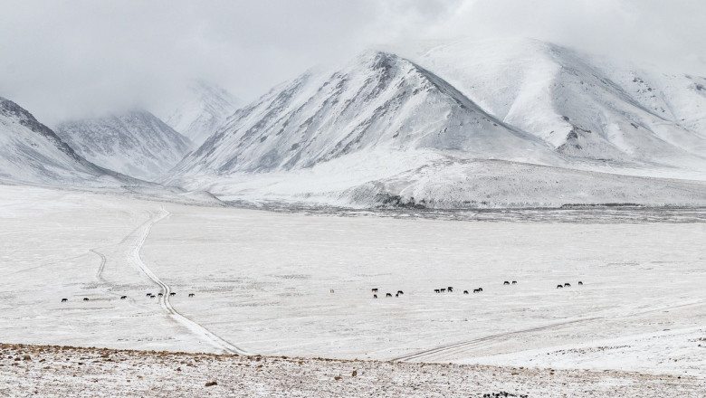 Un val de ger a lovit Mongolia. Temperaturile au scazut pana la aproape minus 50 de grade Celsius Imagine