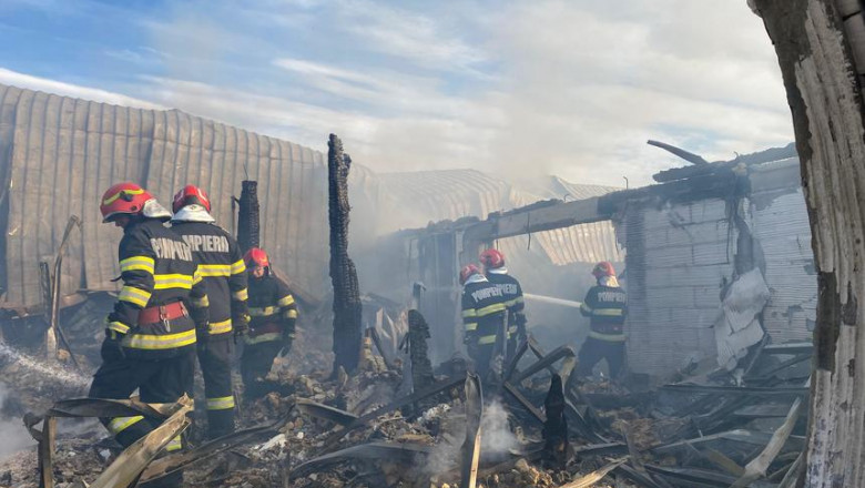 Una dintre victimele incendiului de la „Ferma Dacilor” a intrat in flacari pentru a-si salva copiii. „Era foarte mult tineret acolo” Imagine