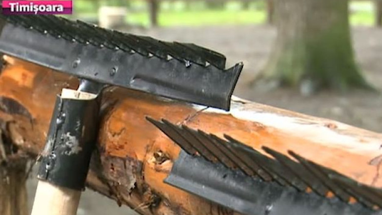 Unelte de zeci de mii de lei, cumparate de Primaria Timisoara. Uneltele sunt folosite de detinuti la intretinerea spatiilor verzi Imagine