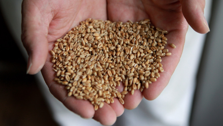 Ungaria anunta ca va permite tranzitul cerealelor din Ucraina Imagine