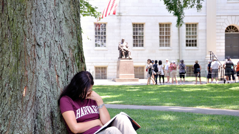 Universitatea Harvard da in judecata Administratia Trump Imagine