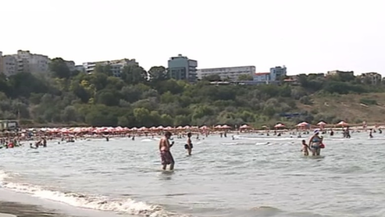 Unsprezece delfini au esuat intr-o luna pe plajele romanesti Imagine