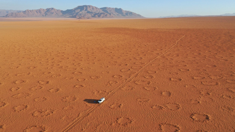 Unul dintre cele mai mari mistere ale naturii a fost rezolvat. Cum s-au format „cercurile zanelor” din desertul Namib Imagine