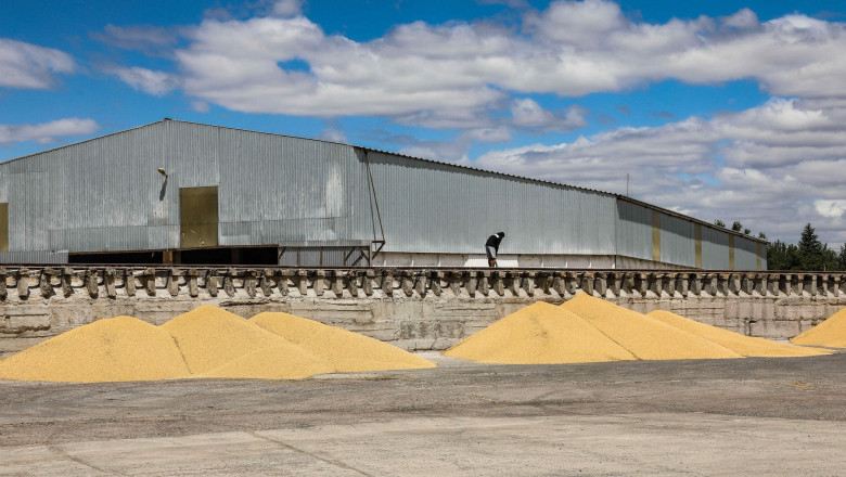 Unul dintre cele mai mari terminale de cereale din Ucraina, aflat in portul Odesa, a fost preluat de investitori americani Imagine