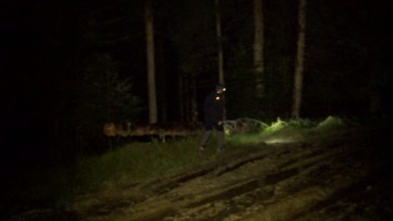 UPDATE. Copilul de sase ani din Suceava este in viata. A fost gasit pe drumul spre casa Imagine