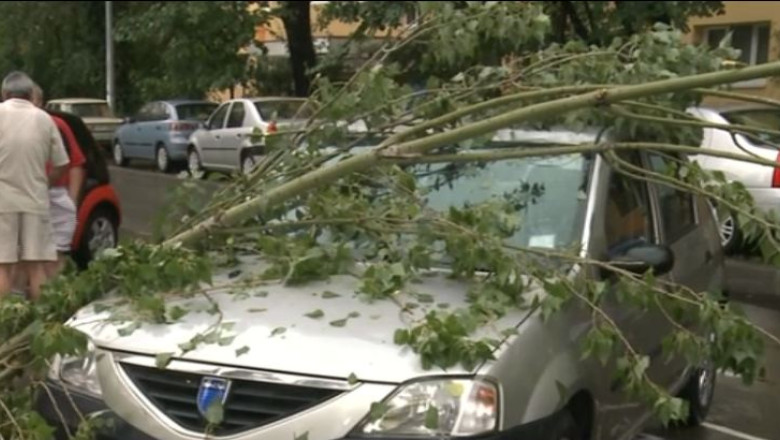 Urmarile furtunii din Capitala: copaci doborati si masini avariate Imagine