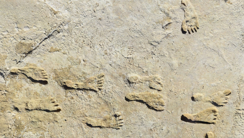 Urmele de pasi care schimba istoria Americii. Ce au descoperit cercetatorii in White Sands Imagine