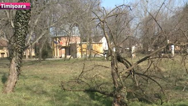 Uscaturi in loc de stele, la Observatorul Astronomic. Academia Romana nu isi permite sa intretina vegetatia din jurul obiectivului Imagine