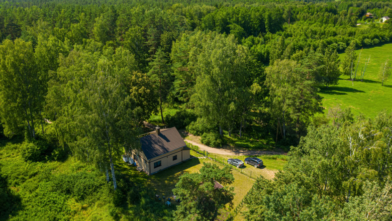 USR sustine ca a reusit sa scoata din noul Cod Silvic prevederi care ar fi distrus iremediabil padurile din Romania Imagine