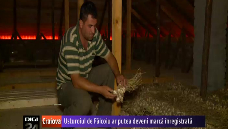 Usturoiul de Falcoiu ar putea deveni marca inregistrata. Autoritatile din comuna olteana vor sa-l inscrie la OSIM Imagine