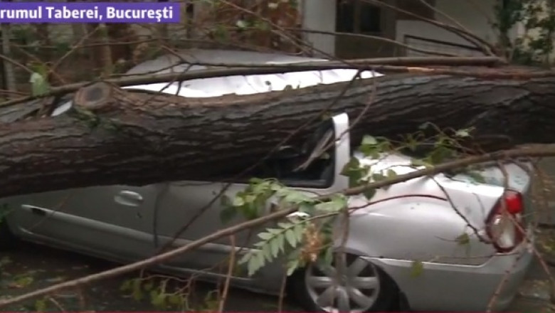 UTILITAR. Cine repara masinile distruse de furtuna Imagine