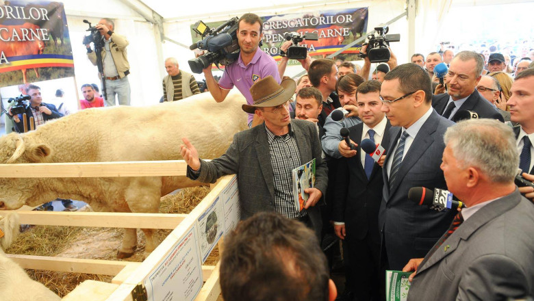 V. Ponta vrea sa schimbe mentalitatea romanilor: sa manance mai multa vita, sa exporte mai mult porc Imagine