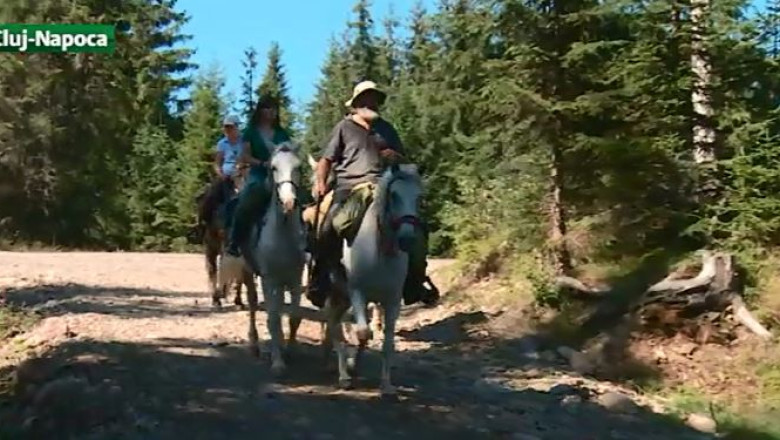 Vacanta calare in Apuseni Imagine