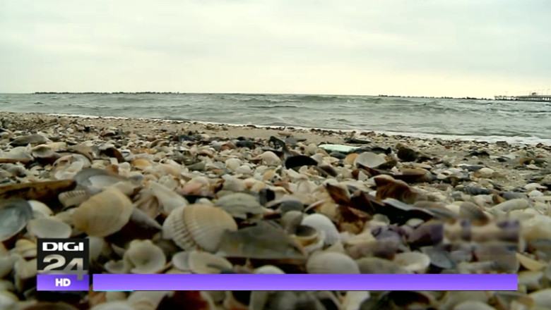 Vacanta de 1 Mai ia litoralul prin surprindere. Plajele ar putea ramane neamenajate Imagine