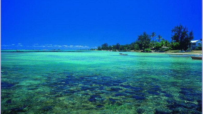 Vacantele de lux ale romanilor: croaziera de 500.000 de euro pe Dunare si sejur de 90.000 de euro in Mauritius  Imagine