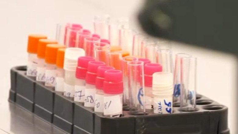 Vaccinul antigripal zace in depozit. Agentia Medicamentului nu a precizat inca daca serul este bun Imagine